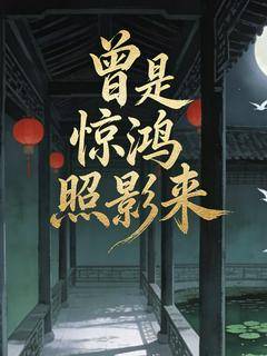 曾是惊鸿照影来