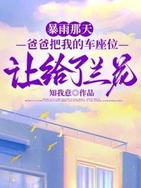 暴雨那天，爸爸把我的车座位让给了兰花