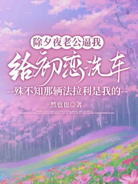 除夕夜老公逼我给初恋洗车，殊不知那辆法拉利是我的