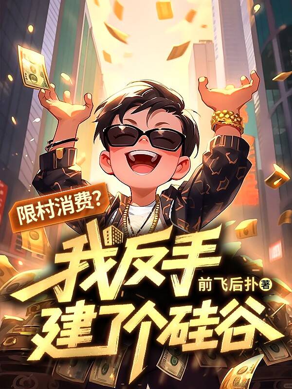 限村消费?我反手建了个硅谷
