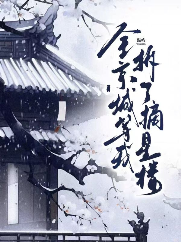 全京城等我拆了摘星楼