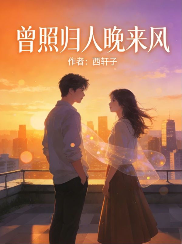 曾照归人晚来风