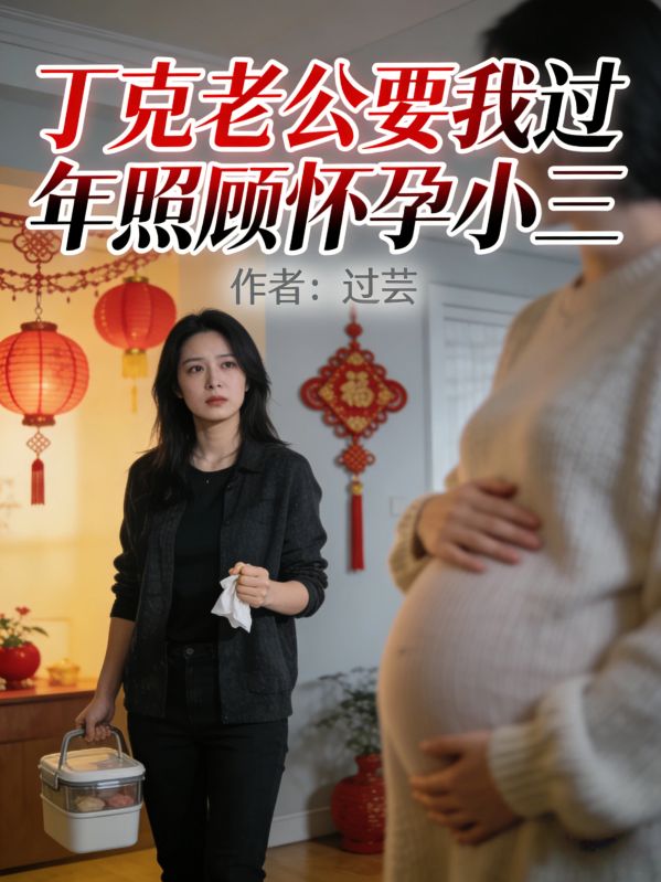 丁克老公要我过年照顾怀孕小三