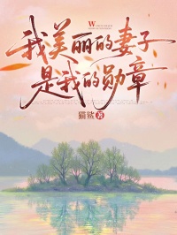我美丽的妻子是我的勋章