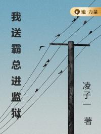 我送霸总进监狱