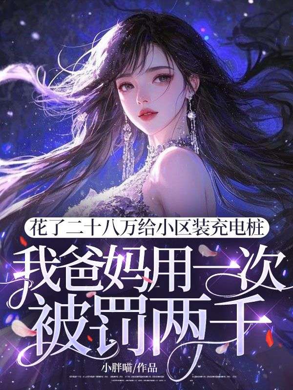 花了二十八万给小区装充电桩，我爸妈用一次被罚两千