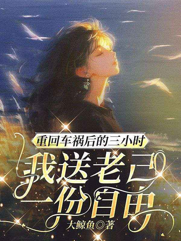 重回车祸后的三小时,我送老己一份自由