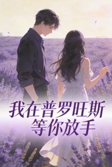 我在普罗旺斯等你放手