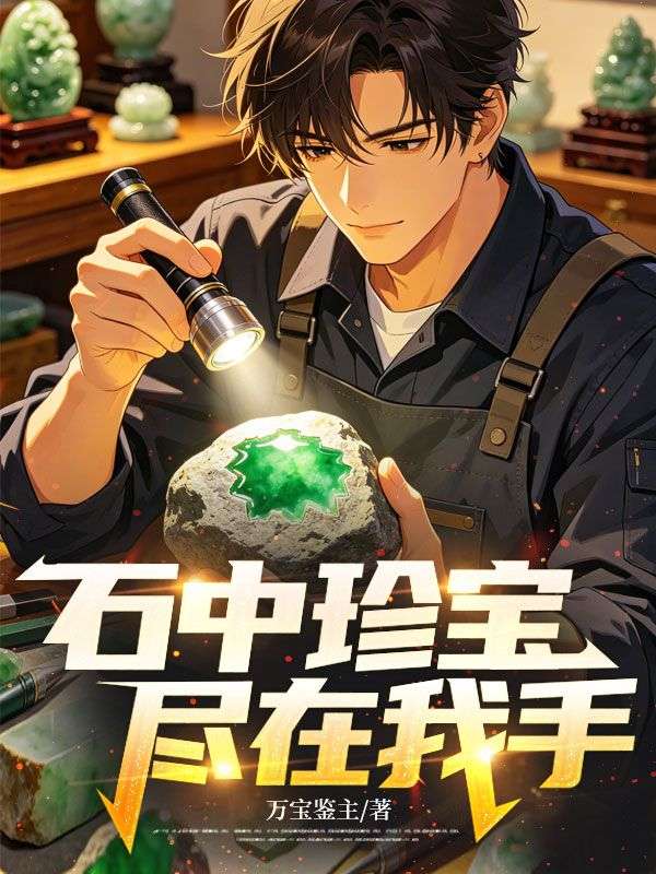 石中珍宝,尽在我手