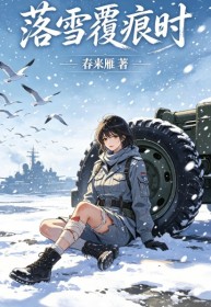 落雪覆痕时