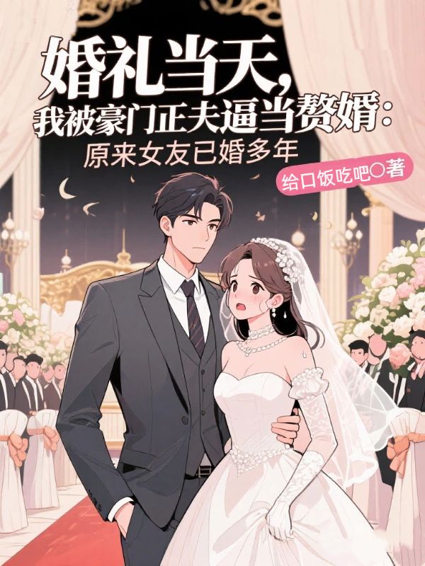 婚礼当天,我被豪门正夫逼当赘婿:原来女友已婚多年
