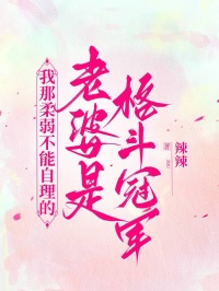 我那柔弱不能自理的老婆是格斗冠军