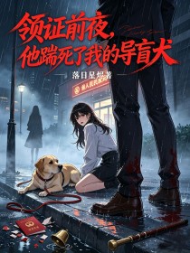 领证前夜，他踹死了我的导盲犬