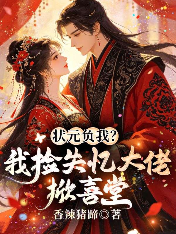 状元负我?我捡失忆大佬掀喜堂