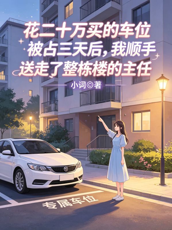 花二十万买的车位被占三天后,我顺手送走了整栋楼的主任
