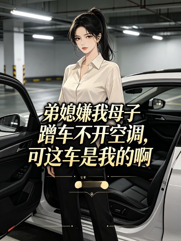 弟媳嫌我母子蹭车不开空调,可这车是我的啊