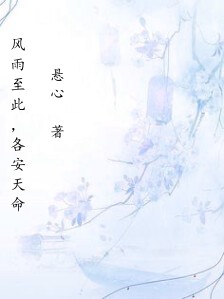 风雨至此,各安天命