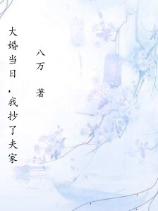 大婚当日,我抄了夫家