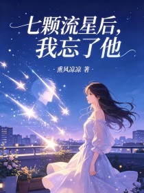 七颗流星后,我忘了他