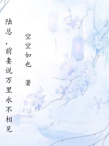 陆总,前妻说万里永不相见