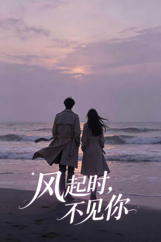 风起时，不见你