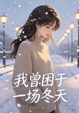 我曾困于一场冬天
