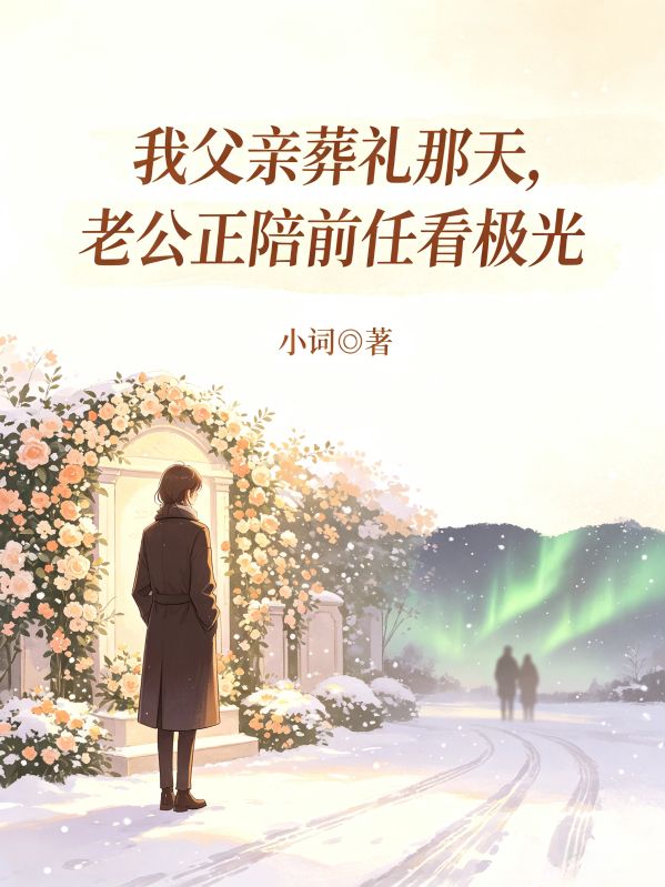 我父亲葬礼那天,老公正陪前任看极光