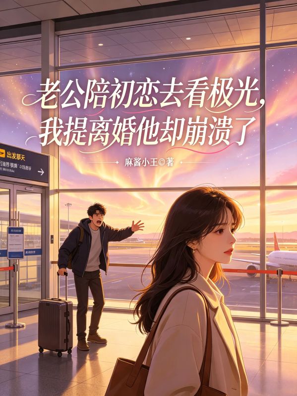 老公陪初恋去看极光,我提离婚他却崩溃了