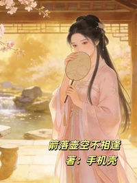 箭落壶空不相逢