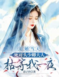 退婚当天,死对头少卿大人枯等我一夜