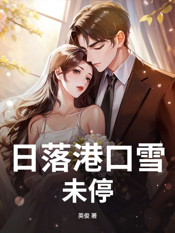 日落港口雪未停