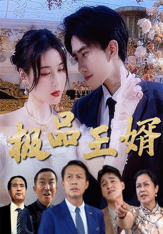 极品王婿