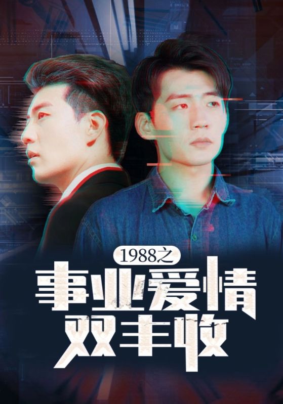 1988之事业爱情双丰收