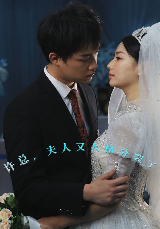许总,夫人又人格分裂了
