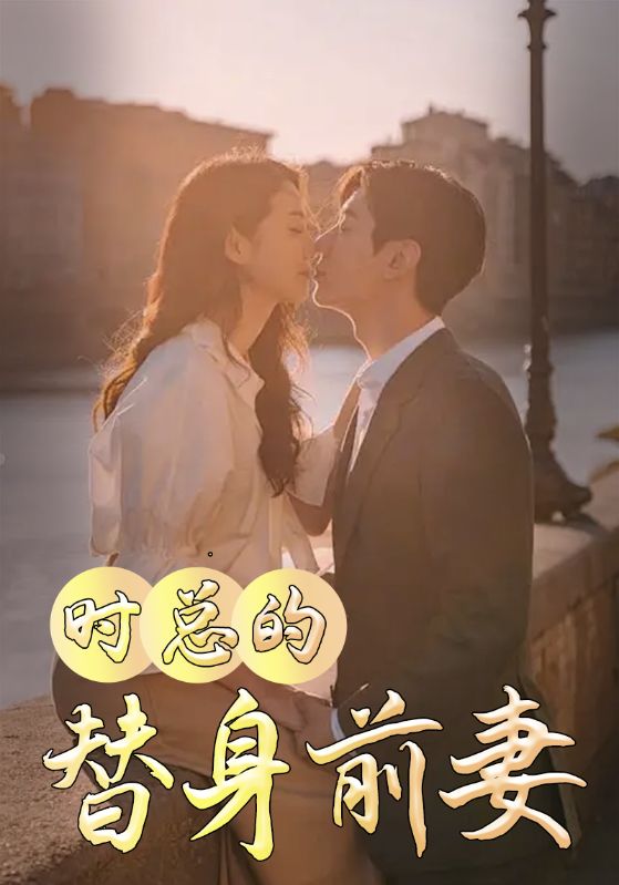 时总的替身前妻