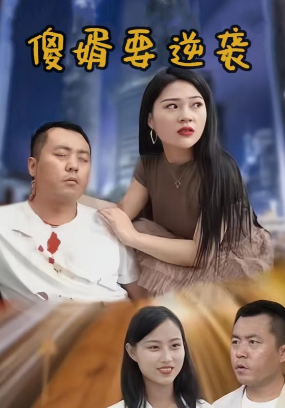 傻婿复仇记