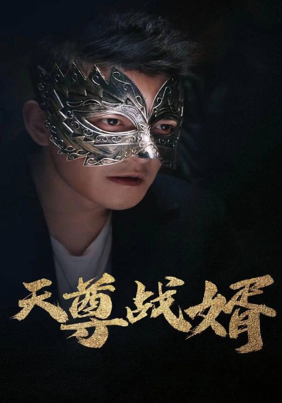 天尊战婿