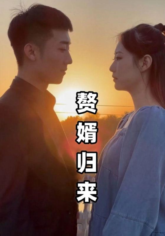 赘婿归来