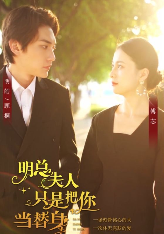 明总,夫人只是把你当替身