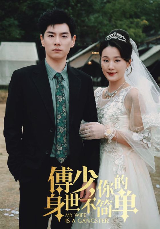 傅少,你的身世不简单