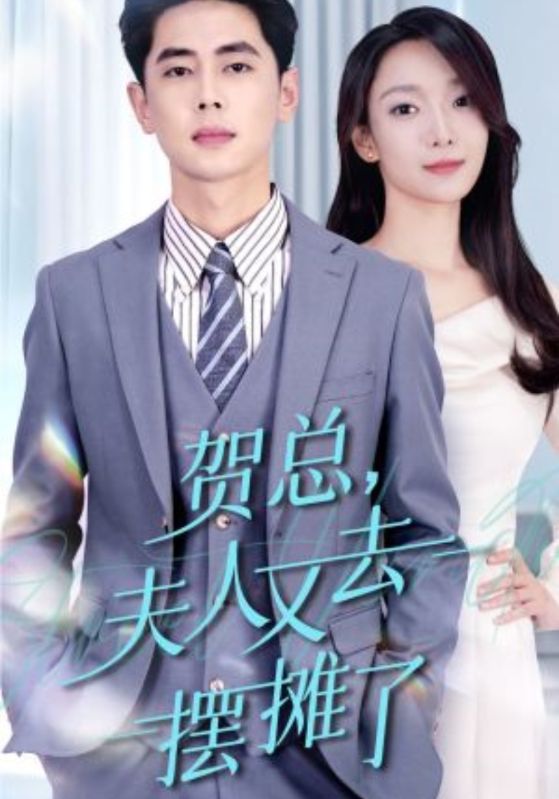 贺总,夫人又去摆摊了