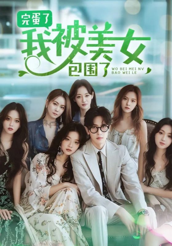 完蛋了,我被七个女神逼婚了