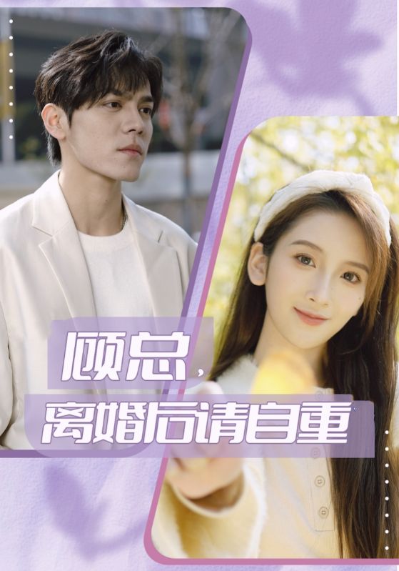顾总,离婚后请自重