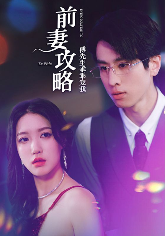 前妻攻略:傅先生乖乖宠我