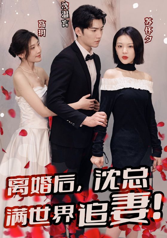 离婚后,沈总满世界追妻