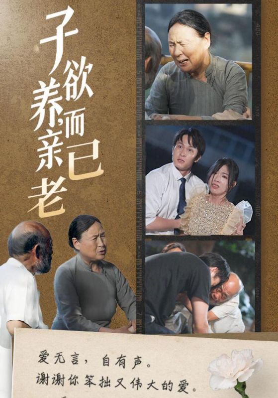 子欲养,而亲已老
