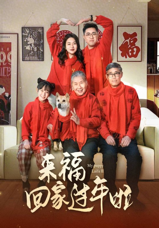 来福回家过年啦