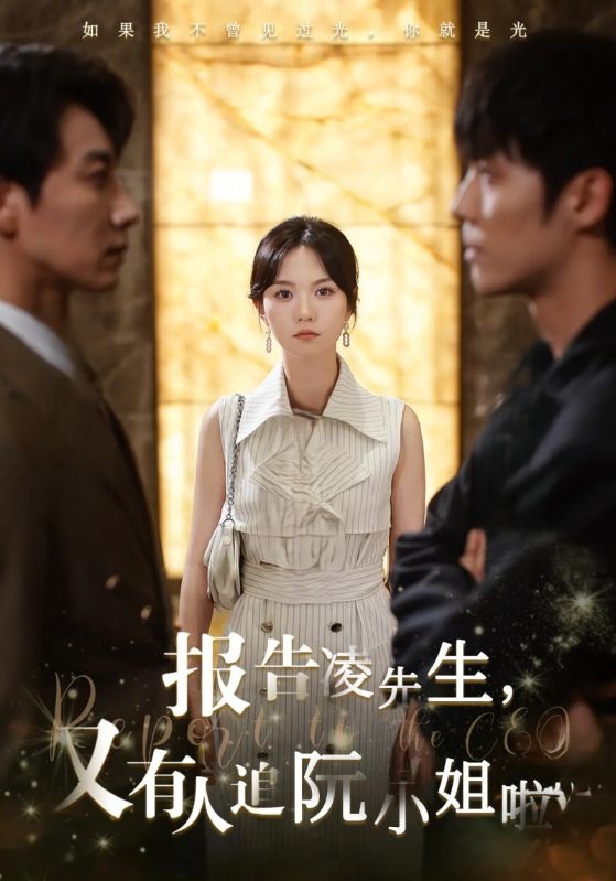 报告凌先生,又有人追阮小姐啦