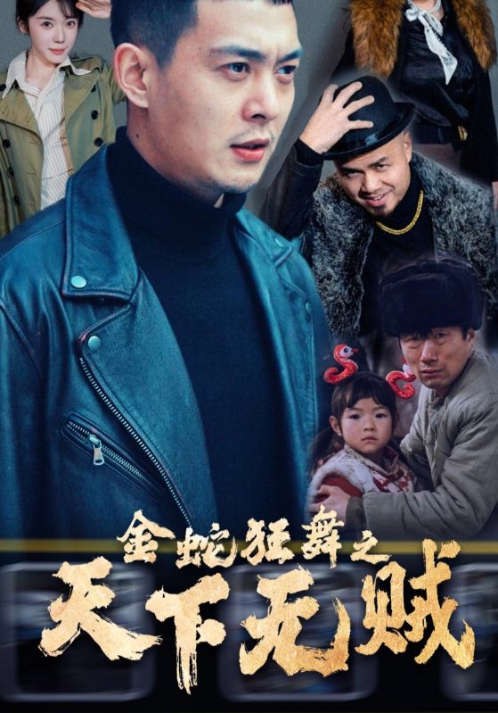 金蛇狂舞之天下无贼