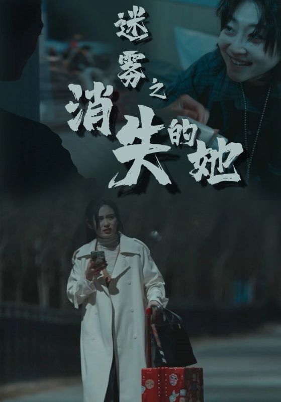 迷雾之消失的她